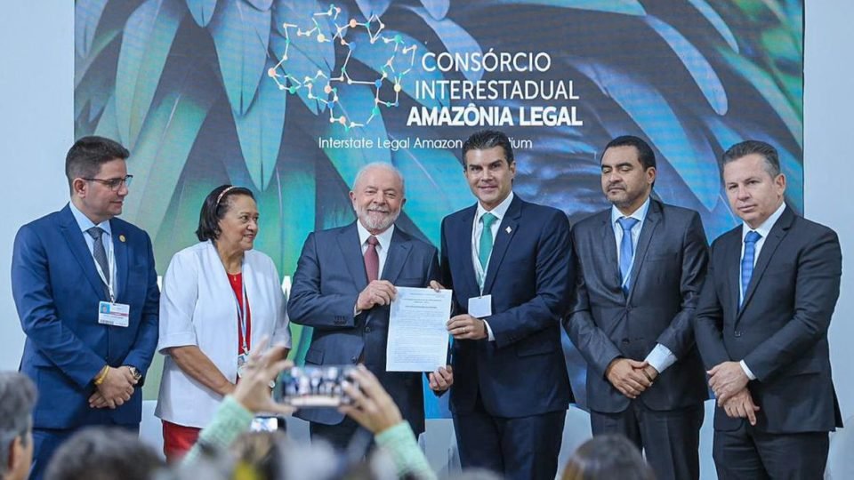 com lula no poder ongs devem voltar a ganhar relevancia na amazonia