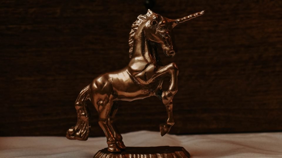 os 10 proximos unicornios de 2023 segundo o distrito