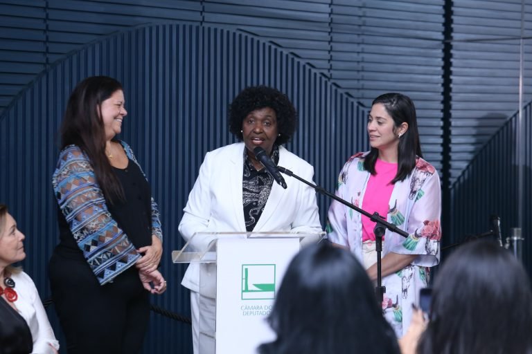 coordenadoras da secretaria da mulher tomam posse na camara