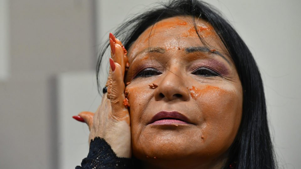 moraes vota pela cassacao de silvia waiapi e outros 6 parlamentares