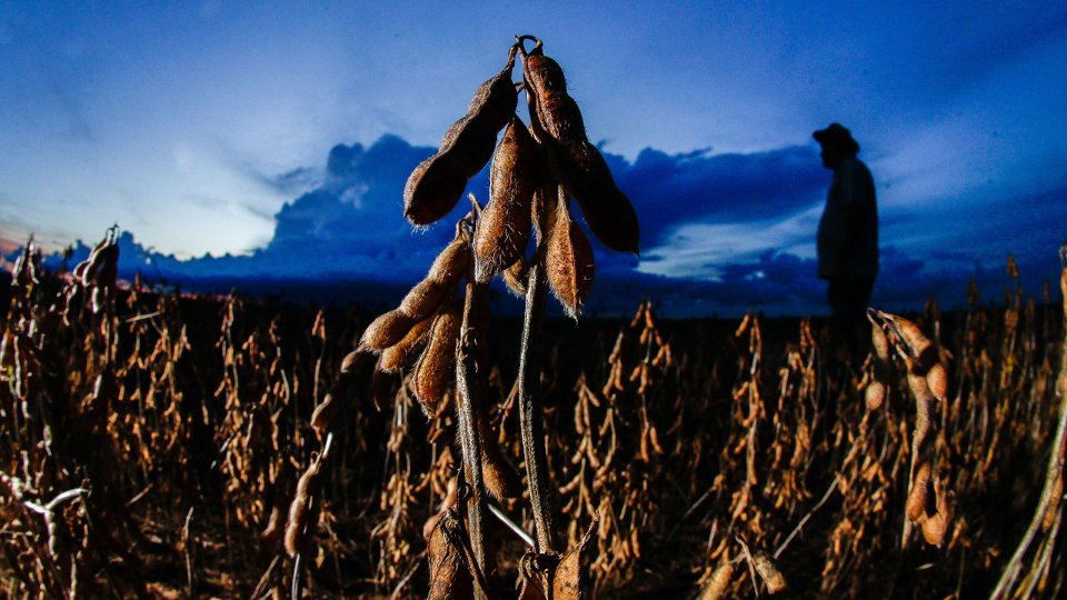 forca do campo e transferencias de renda embalam os estados que mais crescem no pais