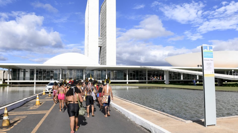 governo tenta atrasar pl sobre terras indigenas no senado a espera de decisao favoravel no stf