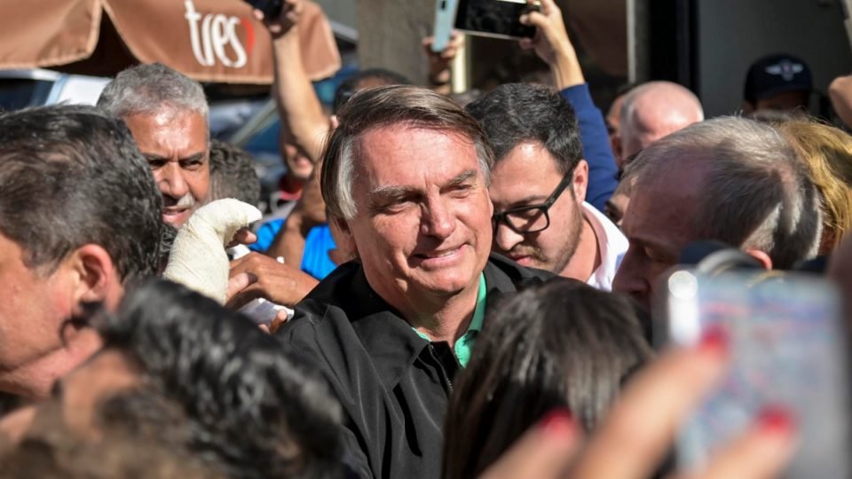 bolsonaro e investigado por importunacao de baleia jubarte mpf acompanhara caso