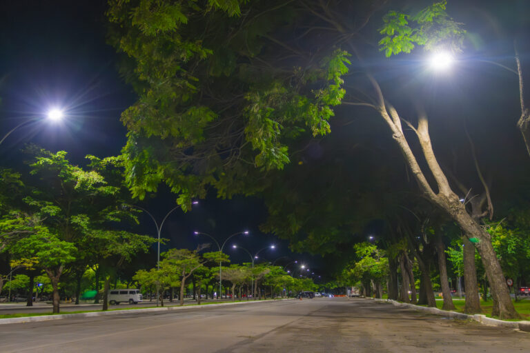 Iluminação do Parque da Cidade Sarah Kubitschek passa por modernização