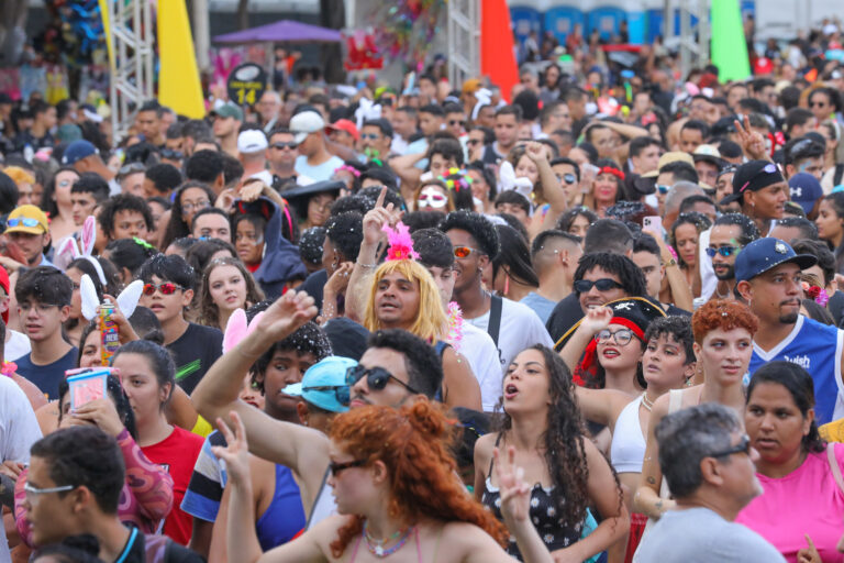 Dezessete blocos de Carnaval animam o DF neste domingo (11)