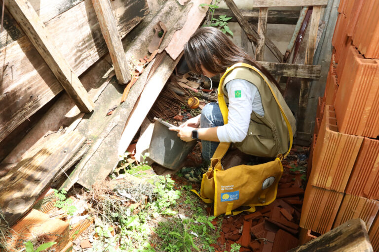 Dia D convoca população a ser fiscal no combate à dengue