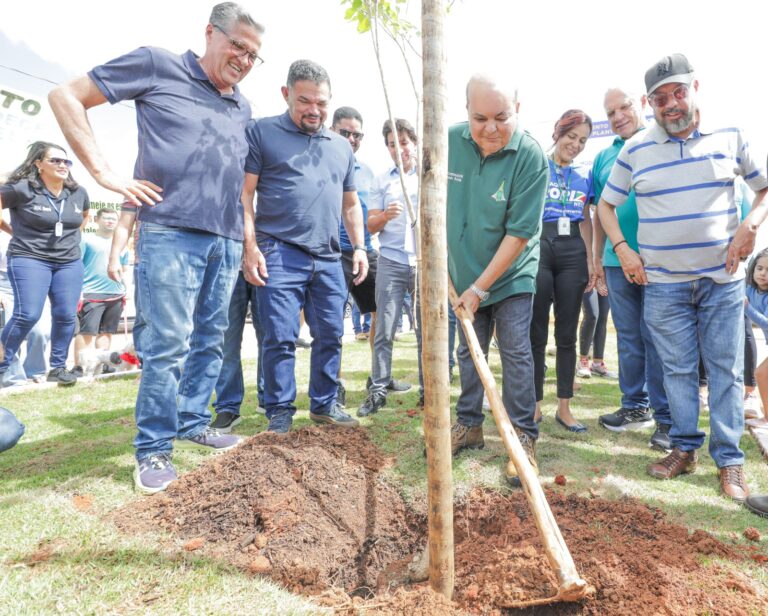 Programa de Arborização vai plantar 100 mil mudas nativas no DF em 2024