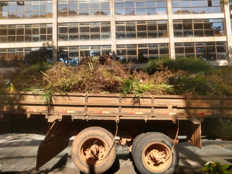 Operação remove 145 toneladas de entulhos na Asa Norte para combate à dengue