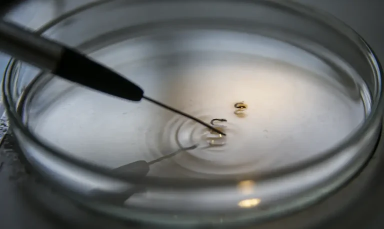 Mais de 1 mil mortes registradas por dengue no Brasil em 2024