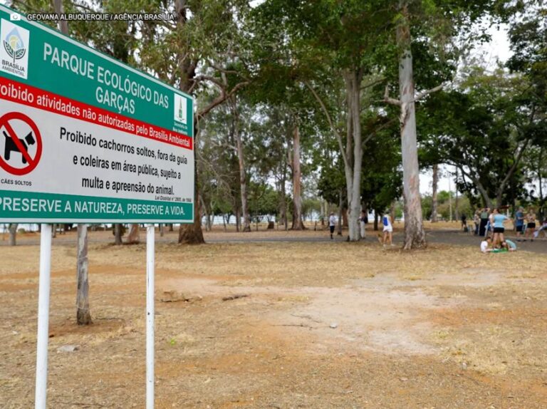Plano de ocupação ao lado do Parque das Garças vai levar infraestrutura e lazer aos brasilienses