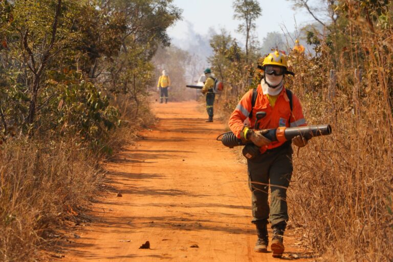 CBMDF convoca 2.000 militares do expediente administrativo para combater incêndios florestais no DF