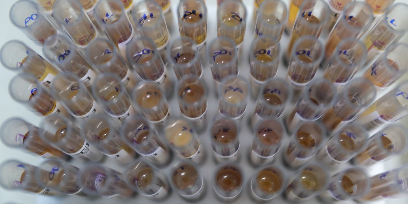 53648101607 05fbb4f626 o.jpg