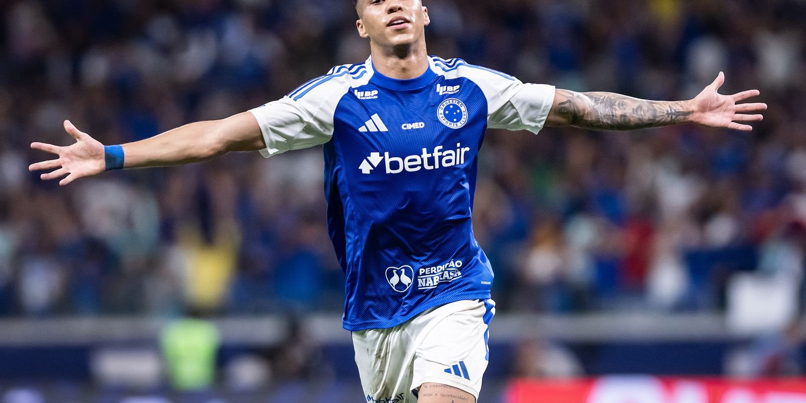 54459297679 49342d73a9 o.jpg