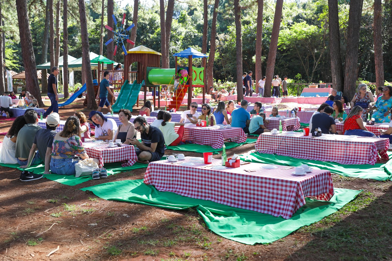 JBB. Foto Geovana Albuquerque 1.jpg