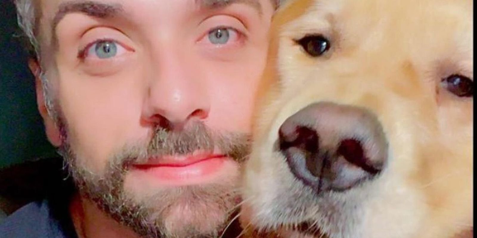 cachorro morre apos ser transportado pela gol3.jpg