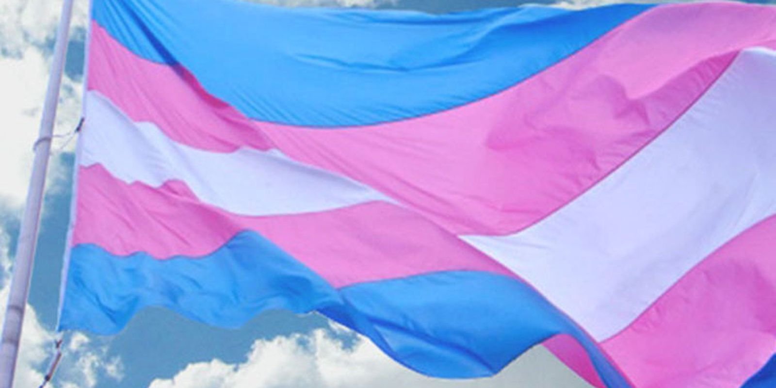 ed2e9b e1c460d674ce45e683e0954ca7c0fc05 mv2.jpg