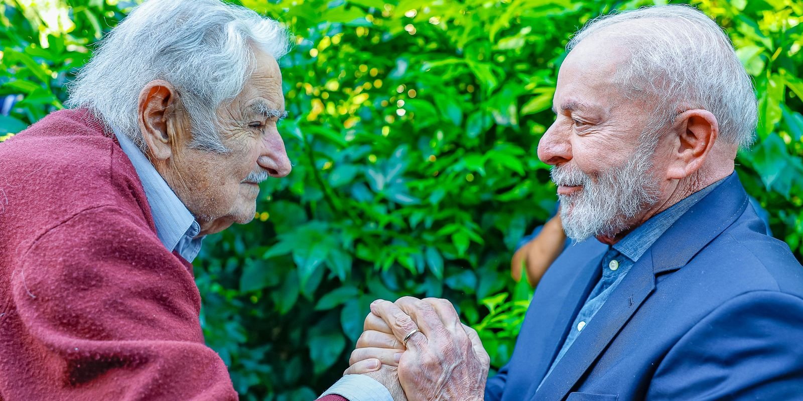 54186136065 41b0664054 o.jpg