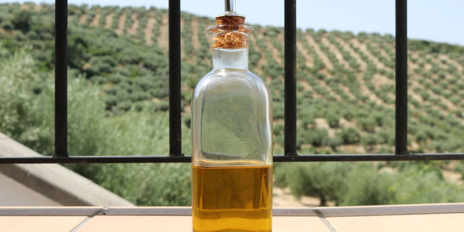 rosalerosa freepik.jpg