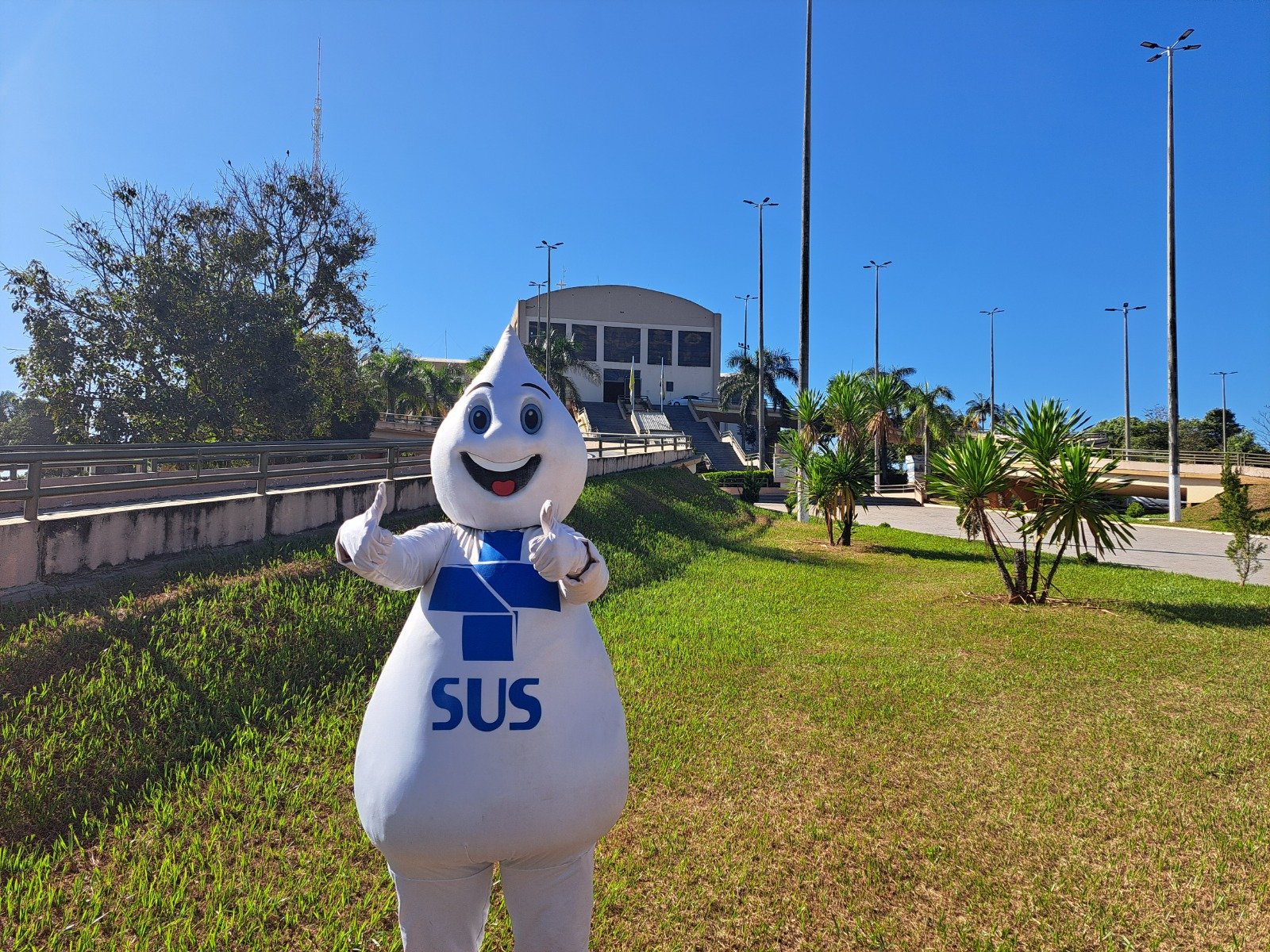 SES IMPORTANCIA DA VACINACAO ANTES DE FESTIVIDADES E VIAGENS DE FERIAS.jpeg