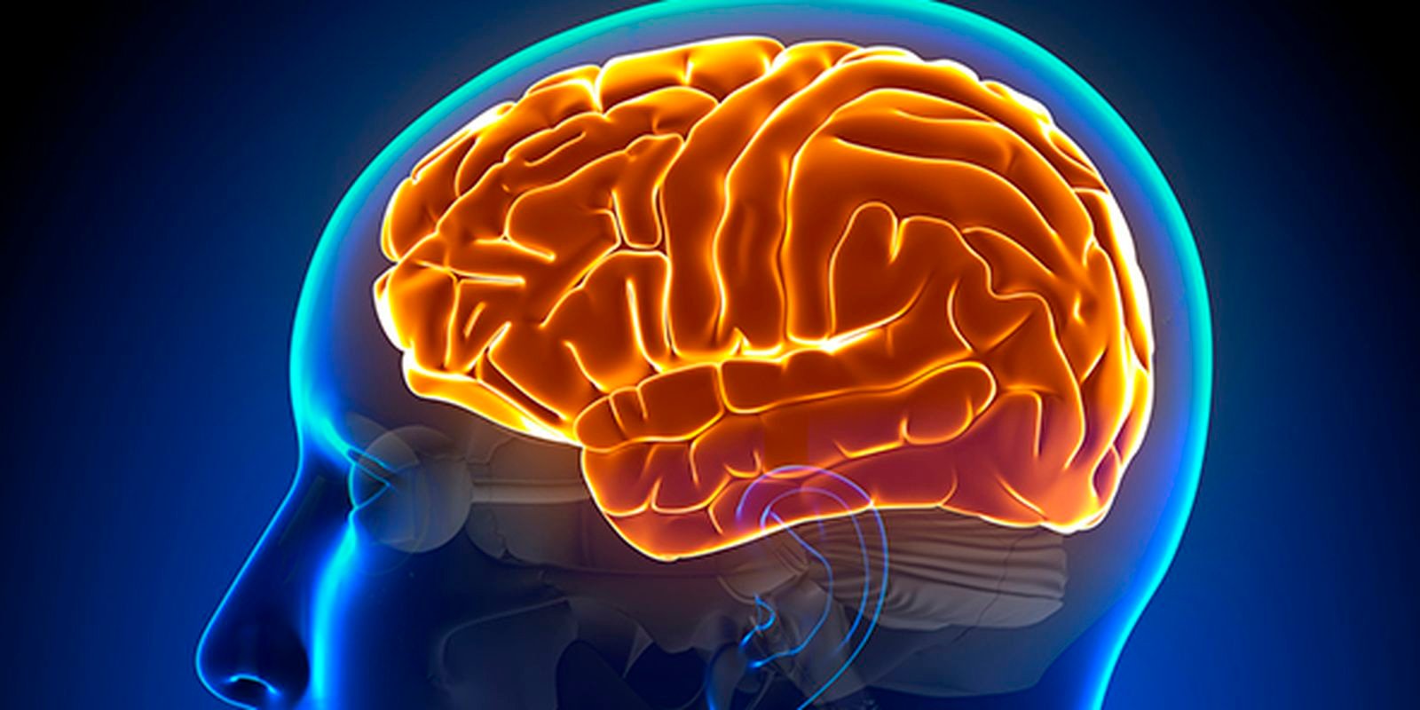 Entenda a hidrocefalia normobárica, causa da cirurgia de Chico Buarque