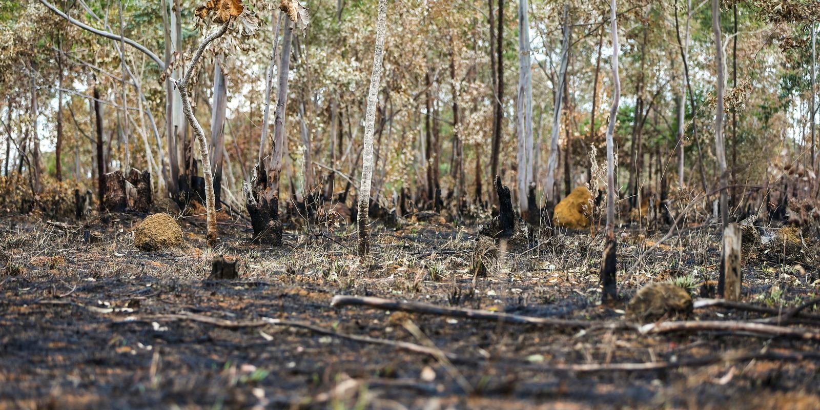 1057806 ebc 07.12.2016 3110 07.12.16.jpg