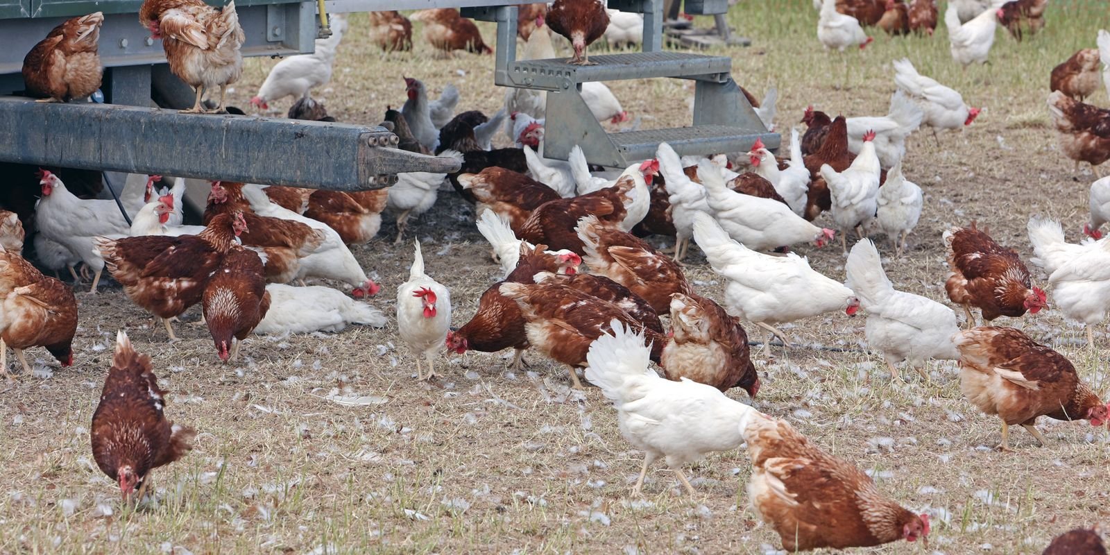 2025 05 18t000000z 220252445 mt1imgost000fp5jty rtrmadp 3 imago images.jpg