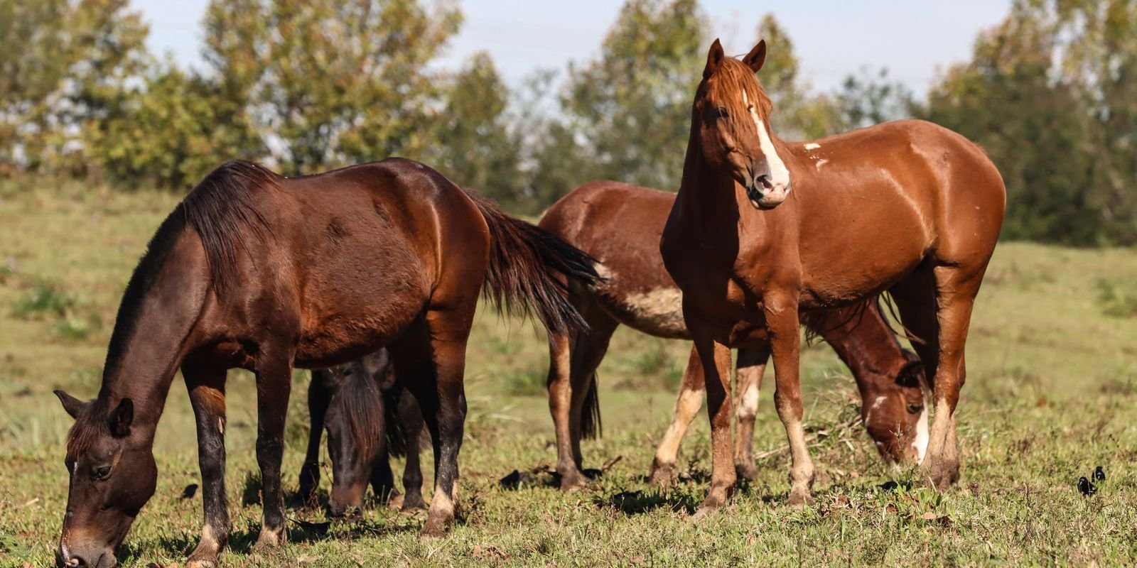 8c49b732 6125 4cf5 a9df dd0c915e53de.jpeg