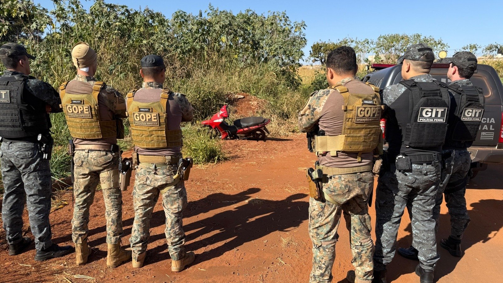 Crimes patrimoniais tiveram redução em Goiás em 2024