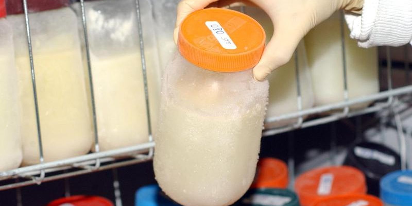 doacao de leite materno.jpg