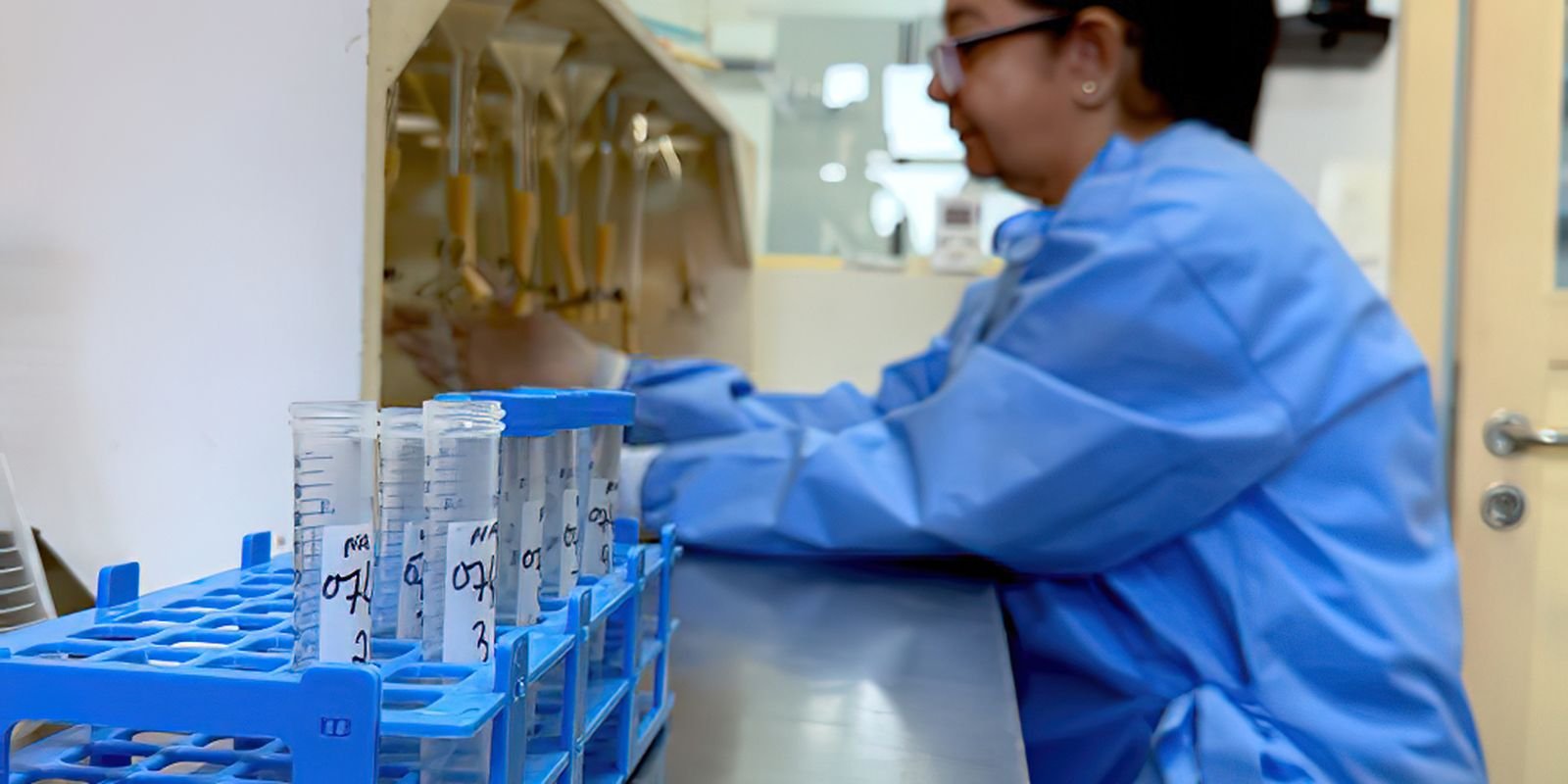 etapa da analise parasitologica realizada no laboratorio de malacologia do ioc para investigacao da infeccao em moluscos foto josue damacena.jpg