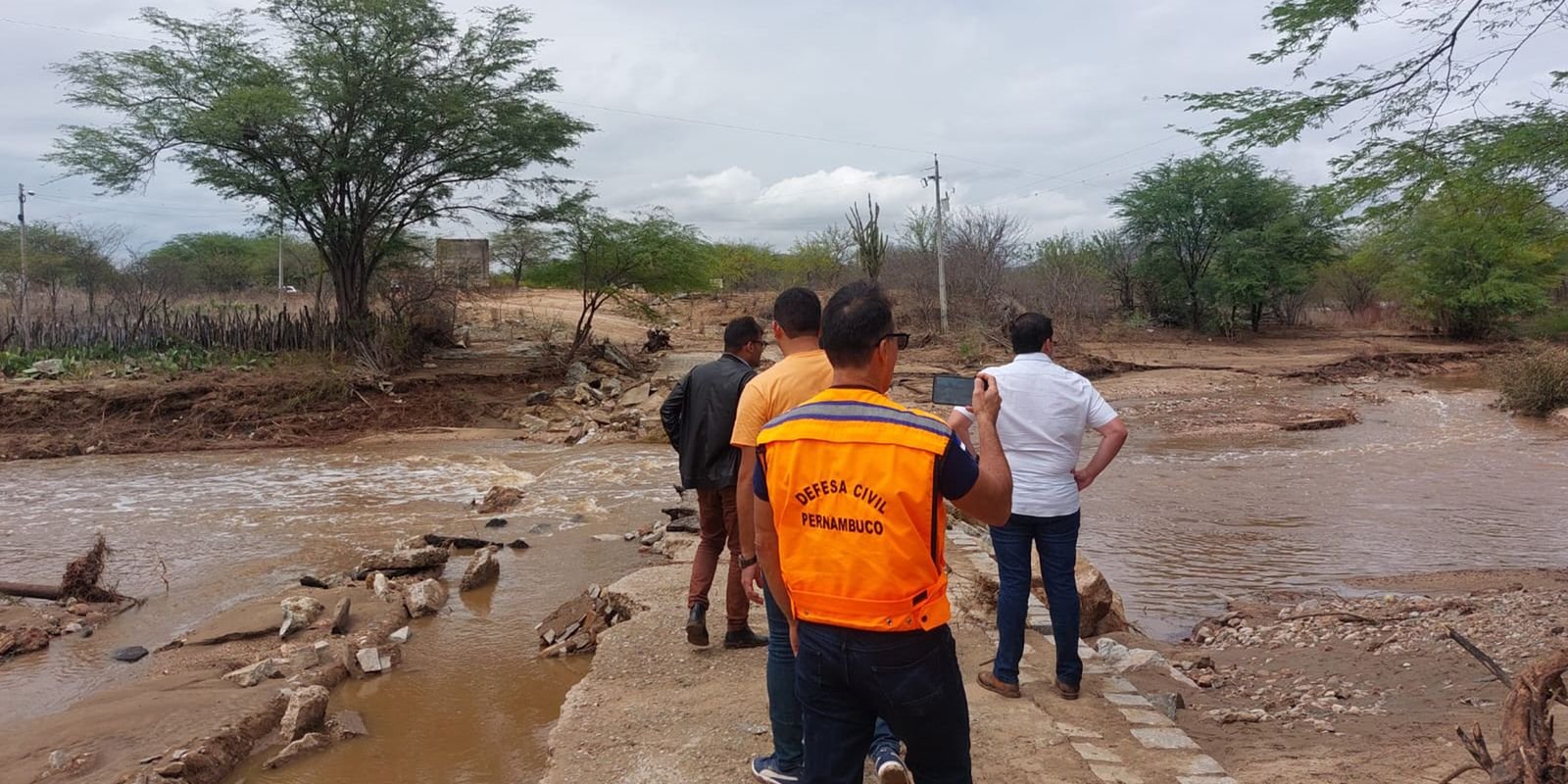 whatsapp image 2025 01 13 at 18.33.00.jpeg