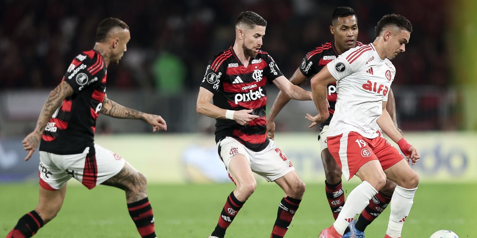 54719807213 bf16fc6a3d 5k.jpg