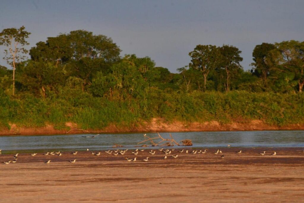 AAA Rio Araguaia 1215x811.jpeg