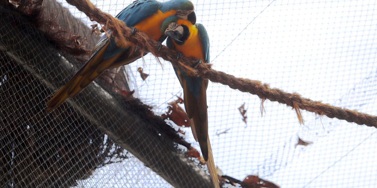 parque 9 foto beth santos.jpg