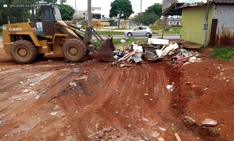 Combate a dengue: Ceilândia recebe novo mutirão de limpeza a partir desta quinta-feira (11)