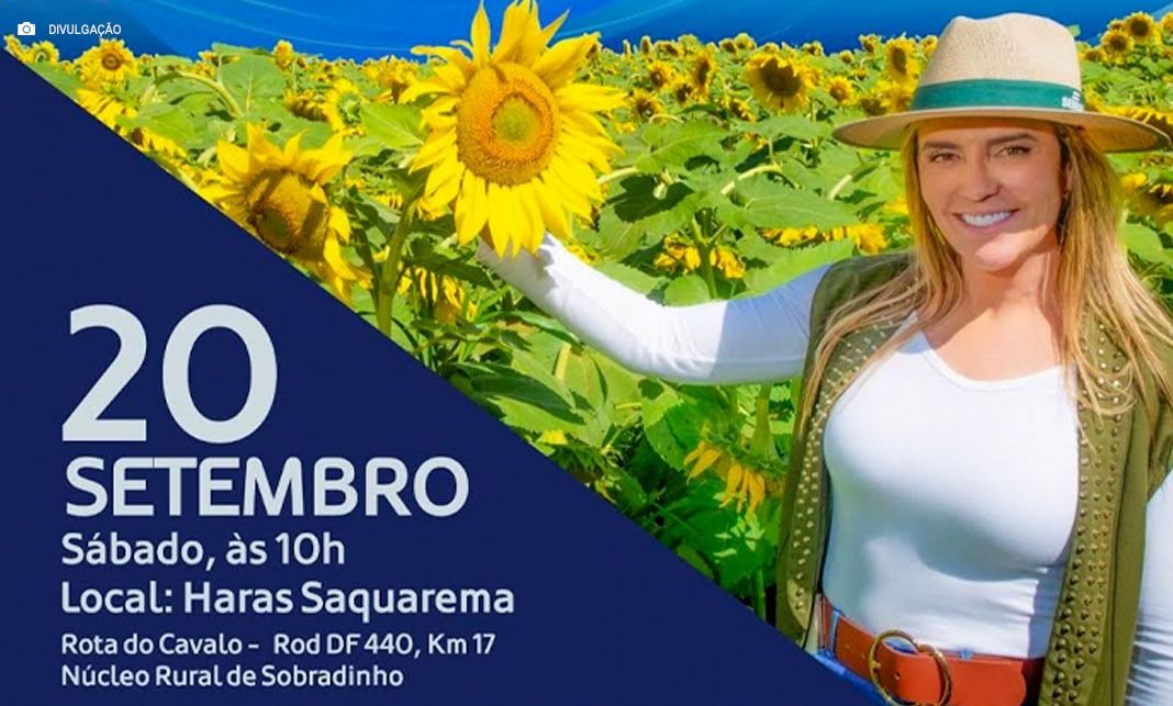 Progressistas lança comissão para fortalecer produção rural no DF